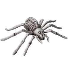 Halloween kostra pavouka Halloween kostra pavouka
