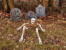 Halloween lebka a končetiny kostlivce Halloween lebka a končetiny kostlivce