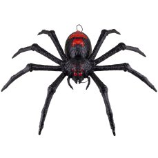 Tarantule Tarantule