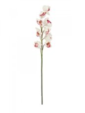 Orchidej větvička, bílo-růžová, 90 cm Orchidej větvička, bílo-růžová, 90 cm