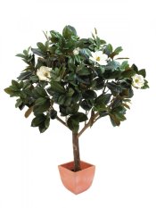 Magnólie, 150 cm - poškozeno (82507255)