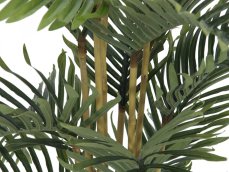 Kentia palma, 140 cm