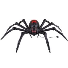 Tarantule Tarantule