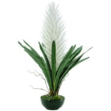 Bromélie, bílá, 100cm - rozbaleno (82532001)