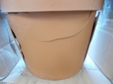 Juka palmový keř v květináči, 105 cm - poškozeno (82600061)