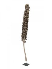 Cacho Coco z babassu palmy, délka 120-190 cm Cacho Coco z babassu palmy, délka 120-190 cm