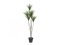 Palma Yucca, 130cm