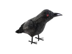 Europalms Havran, 18 cm