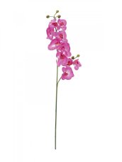 Orchidej větvička fialová, 100 cm Orchidej větvička fialová, 100 cm