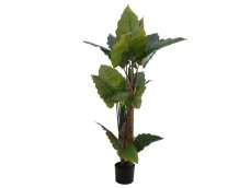 Taro Alocasia, umělá rostlina, 140cm