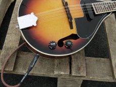 Dimavery ML-003, mandolína elektroakustická, stínovaná