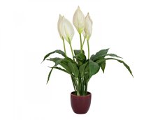 Bílá lilie v květináči, 49cm