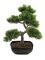 Europalms Bonsai borovice, umělá rostlina, 50cm