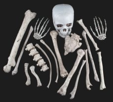 Halloween 17 kostí v pytli Halloween 17 kostí v pytli