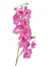 Orchidej větvička fialová, 100 cm Orchidej větvička fialová, 100 cm