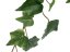 FIRESILX Břečťan trs, 60 cm
