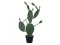 Kaktus Nopal, 76cm