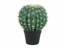 Kaktus v květináči, 34 cm