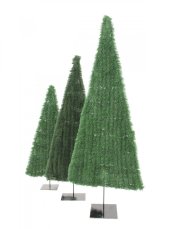Jedle plochá, světle zelená, 120cm