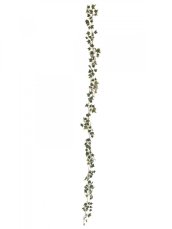 Girlanda z Holandského břečťanu, 180 cm