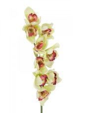 Orchidej větvička, zelená, 90 cm Orchidej větvička, zelená, 90 cm