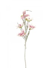Větvička magnolie růžovobílá, 100 cm