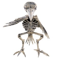 Halloween kostra ptáka