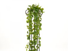 Girlanda Photosu Premium, 170 cm Girlanda Photosu Premium, 170 cm