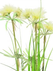 Jarní tráva v květináči, 120 cm