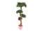 Bonsai palma, 120cm – rozbaleno (82511514)