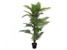 Palma Areca, 150 cm Palma Areca, 150 cm