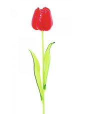 Tulipán červený – křišťálový, 61 cm, 12 ks