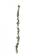 Girlanda z filodendronu, 180 cm