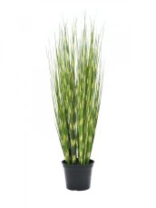 Zebrovaná tráva, 90cm