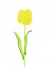 Tulipán žlutý – křišťálový, 61 cm, 12 ks