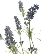 Lavendule větvička 61cm