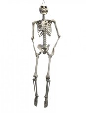 Halloween závěsná kostra, 175 cm Halloween závěsná kostra, 175 cm