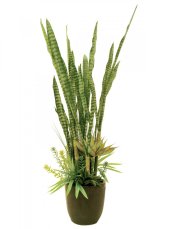 Sukulent mix, 190 cm Sukulent mix, 190 cm