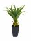 Agave kaktus s květináčem, 75 cm