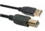 Stagg NCC5UAUB,  kabel USB 2.0, USB A/USB B, 5m
