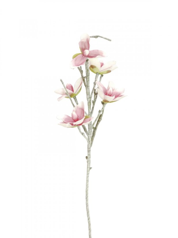 Větvička magnolie růžovobílá, 100 cm