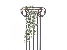 Holandský divoký břečťan trs střední, 70 cm Holandský divoký břečťan trs střední, 70 cm