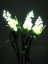 EUROPALMS Sada arum, 3 větve s LED bílé 85cm