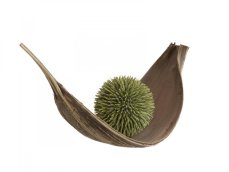 Sukulent koule (EVA), zelená, 20 cm Sukulent koule (EVA), zelená, 20 cm
