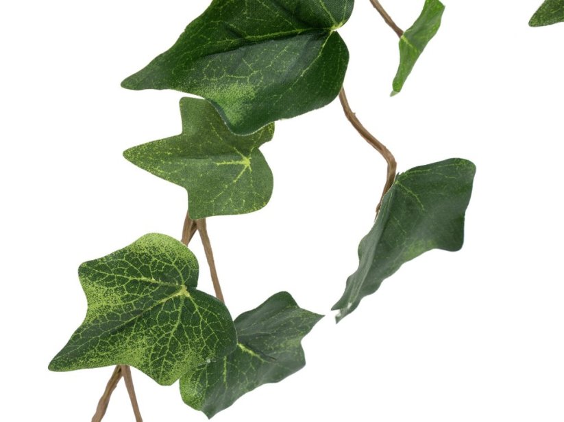 FIRESILX Břečťan trs, 60 cm