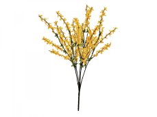 Větvička zlatice (Forsythia), výška 60 cm