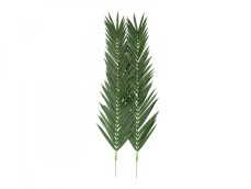 Palma list - kokos královský (kus), 210 cm Palma list - kokos královský (kus), 210 cm
