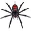 Tarantule 
