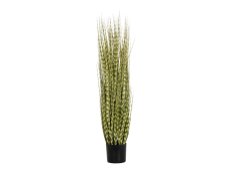 FIRESILX Ozdobnice čínská, 120 cm