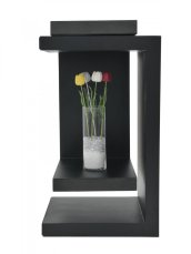 Tulipán čirý – křišťálový, 61 cm, 12 ks